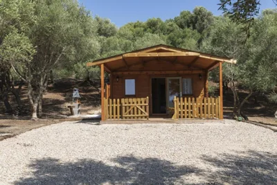 Finca Florida — foto 11