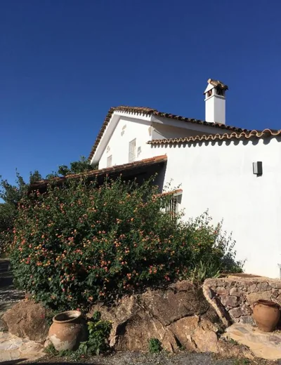 Finca Horno de Cal — 写真 6