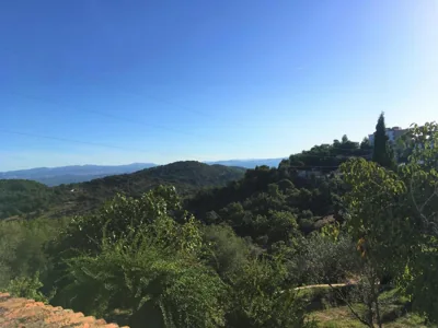 Finca Horno de Cal — 写真 11