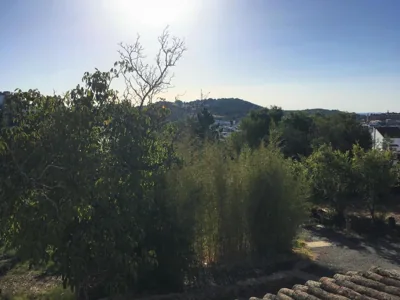 Finca Horno de Cal — 写真 12
