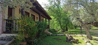 Finca La Josa, Candeleda, Gredos, VUTAV397 — Foto 10