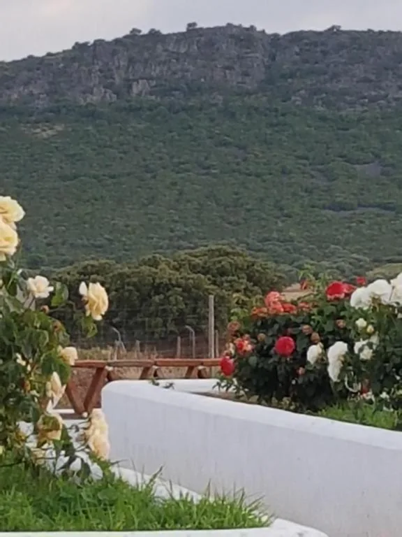 Haus mit 7 Schlafzimmern und Privatpool — Finca La Rinconada