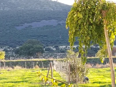 Finca La Rinconada — Foto 12