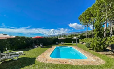 Finca La Sayuela — foto 5