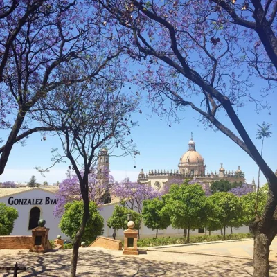Finca la Vina — foto 12