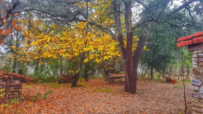 Finca la Viriñuela — foto 5