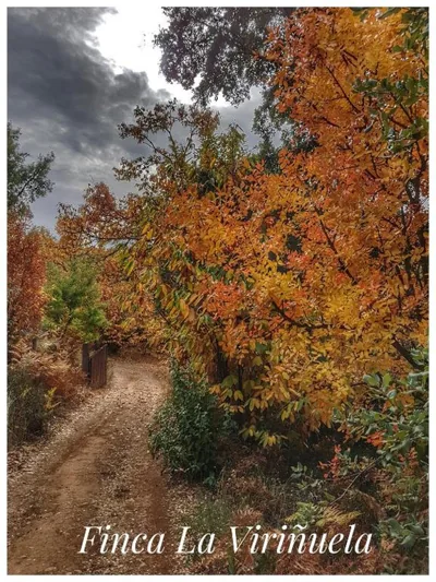 Finca la Viriñuela — foto 9