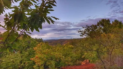 Finca la Viriñuela — foto 10