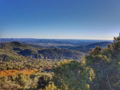 Finca la Viriñuela — foto 11
