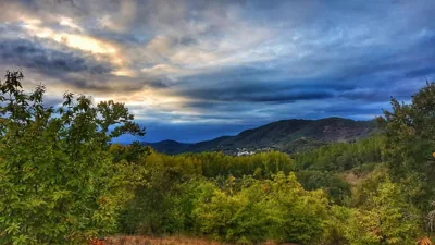 Finca la Viriñuela — foto 12