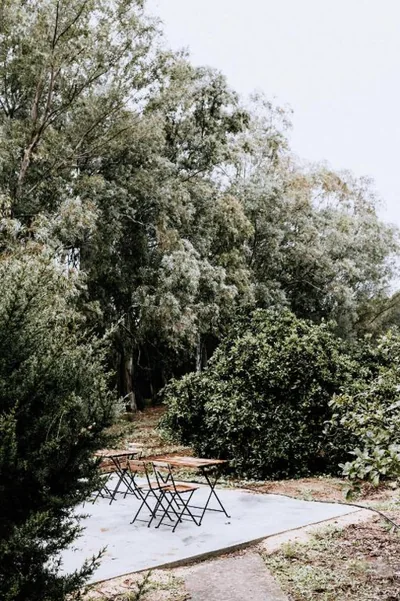 Finca Laida — 照片 9
