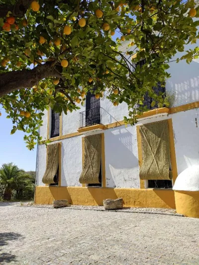FINCA LAS ROSAS DE SANTA ANA — foto 2
