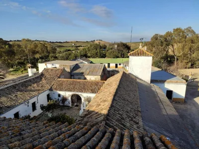 FINCA LAS ROSAS DE SANTA ANA — foto 4