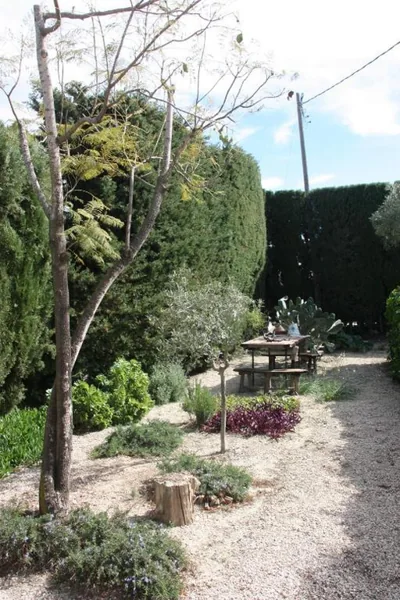 Finca los Bancales — photo 9