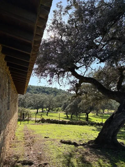Finca Los Caleros — 照片 9