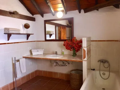 Finca Los Llanitos — foto 3