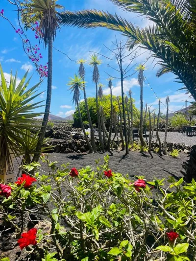 Finca Malvasia Rural Estate & Vineyard — 写真 9