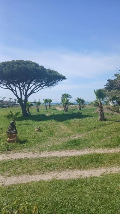 Finca Malyma with 2 villas and 1 apartment, beach front 10,000m2 botanic garden — foto 10