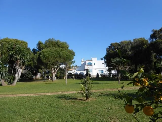 Villa con vista mare — Finca Malyma with 2 villas and 1 apartment, beach front 10,000m2 botanic garden