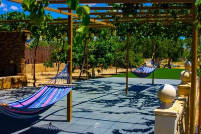 Finca moderna en ambiente rural, Agost — foto 4
