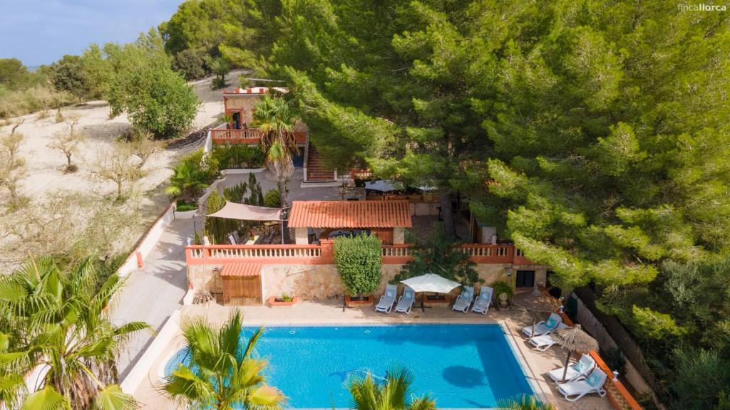 Finca Montana