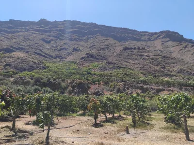 Finca Nim 1 — foto 10