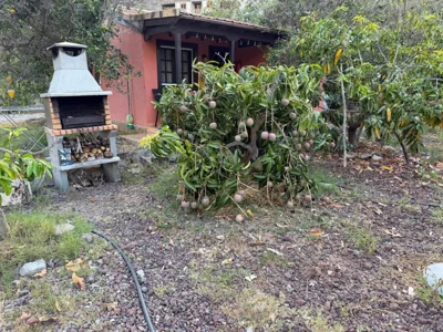 Finca Nim 1 — foto 11