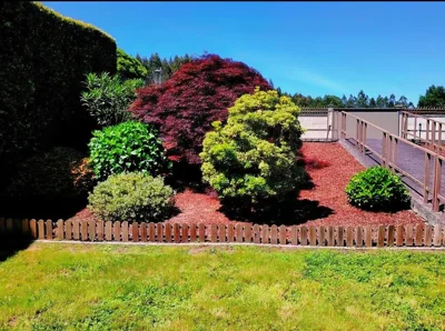 Finca O Loureiro — photo 7