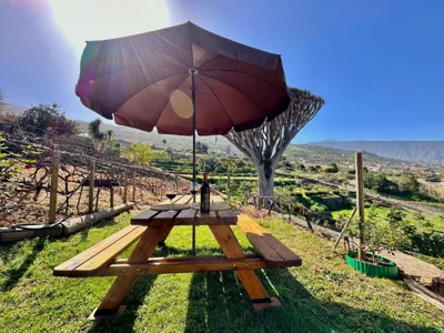 Finca Oscar Burchard — foto 6