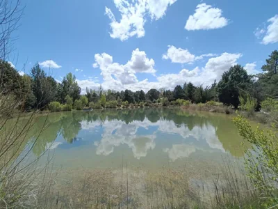 Finca Paraíso Rural — Foto 10