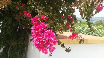 Finca Rayo del Sol — Foto 8