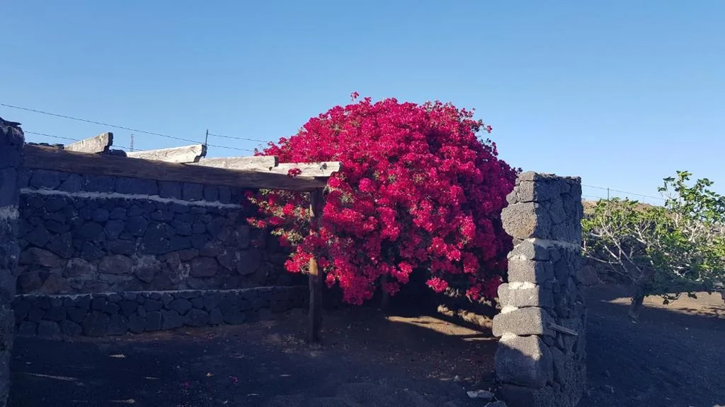 Two-Bedroom House — Finca Relax, Sea View, Oasis Vasiliko, La Asomada