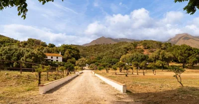 Finca Santa Teresa, Casa Grande — foto 3