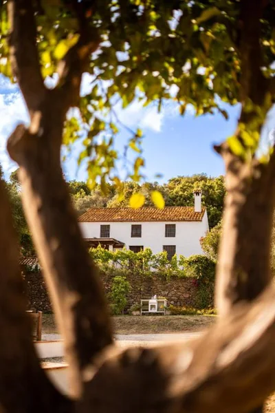 Finca Santa Teresa, Casa Grande — foto 5
