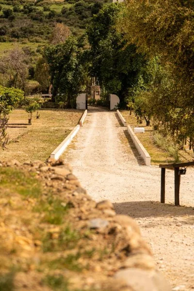 Finca Santa Teresa, Casa Grande — foto 7