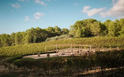 Finca Serena Mallorca, Small Luxury Hotels — photo 7