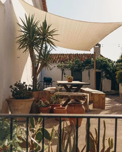 Finca Serrato — foto 6