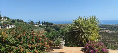 Finca Sol y Cielo — foto 11