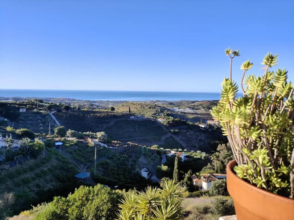 Kamer met groot bed en uitzicht op zee — Finca Sol y Cielo