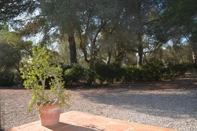 Finca Son Blat — foto 11