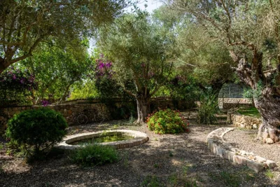 Finca Son Moix — foto 3