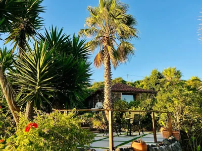 Finca Tenerife - Traumblick, tropischer Garten, viel Platz & Ruhe — Foto 4