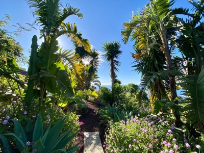 Finca Tenerife - Traumblick, tropischer Garten, viel Platz & Ruhe — Foto 9