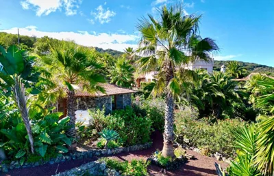 Finca Tenerife - Traumblick, tropischer Garten, viel Platz & Ruhe — Foto 10