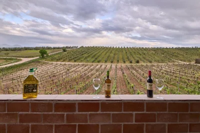 FINCA VALDELAJARA a 20 minutos de Puy du Fou — 写真 4