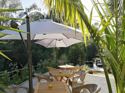 Finca verde de la luz — foto 6