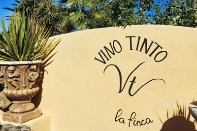 Finca Vino Tinto 1 — foto 12