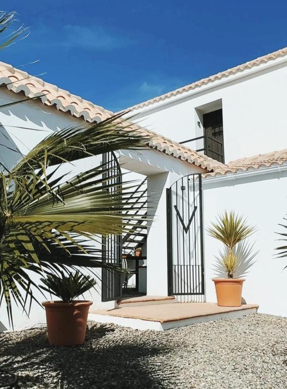 Finca Viva la Vida Suites & Casas