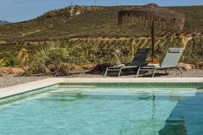 Finca Viva la Vida Suites & Casas — foto 12