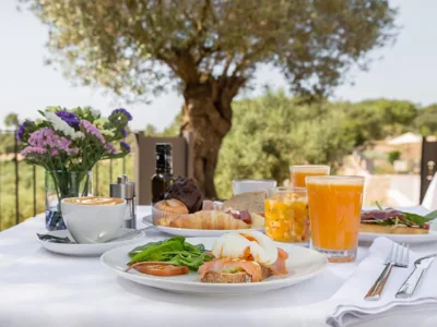 Fincahotel Treurer - Olive Grove & Grand House - Adults Only — photo 9